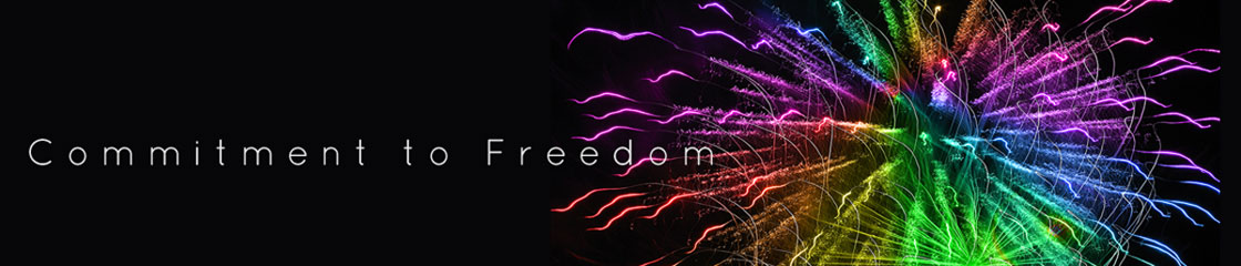 We celebrate a commitment to freedom through equality in life, liberty and the pursuit of happiness of all people in the U.S. Let freedom ring!